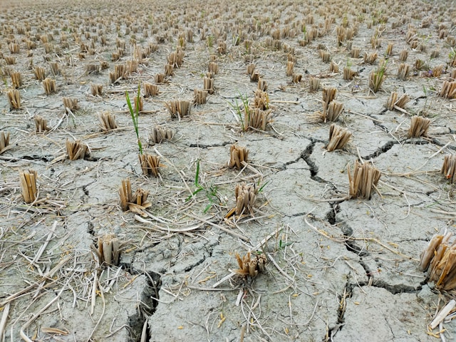 Droughts